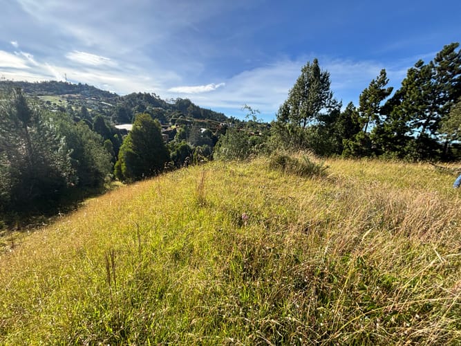 Lote en venta en Vía Las Palmas, Envigado, 8660 m² · foto 9 de 10