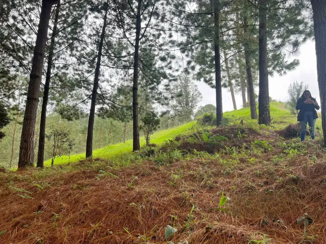 Lote en venta en Don Diego, El Retiro, 5100 m² · foto 3 de 9