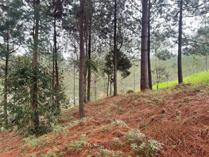 Lote en venta en Don Diego, El Retiro, 5100 m² · foto 4 de 9