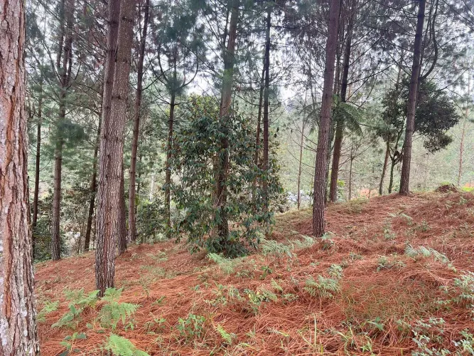 Lote en venta en Don Diego, El Retiro, 5100 m² · foto 5 de 9