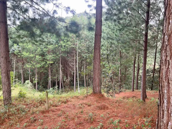 Lote en venta en Don Diego, El Retiro, 5100 m² · foto 9 de 9