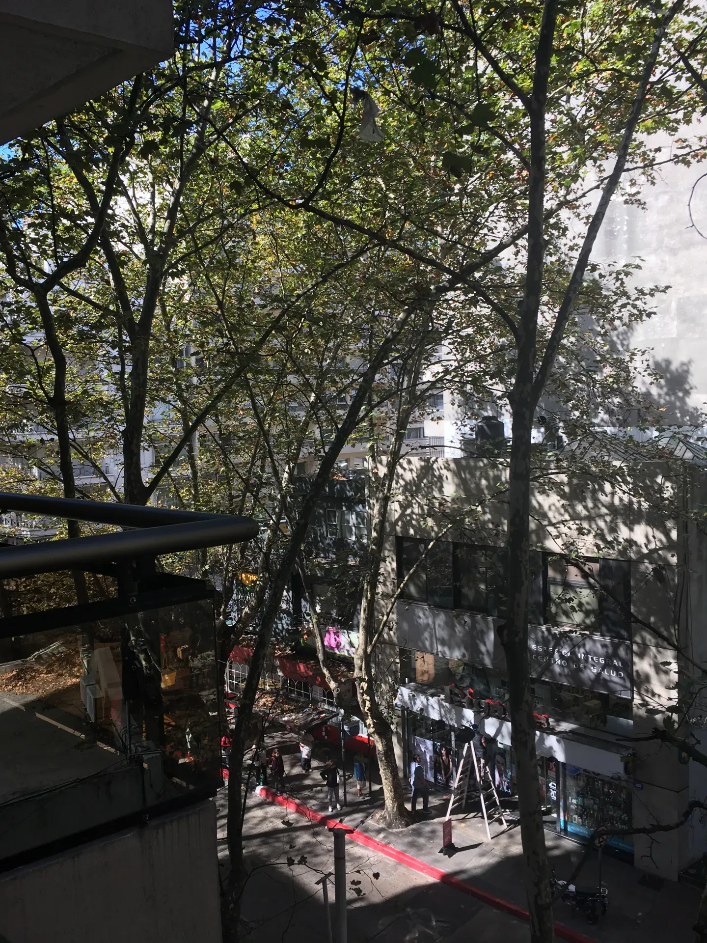 Apartamento en Alquiler · Foto 9