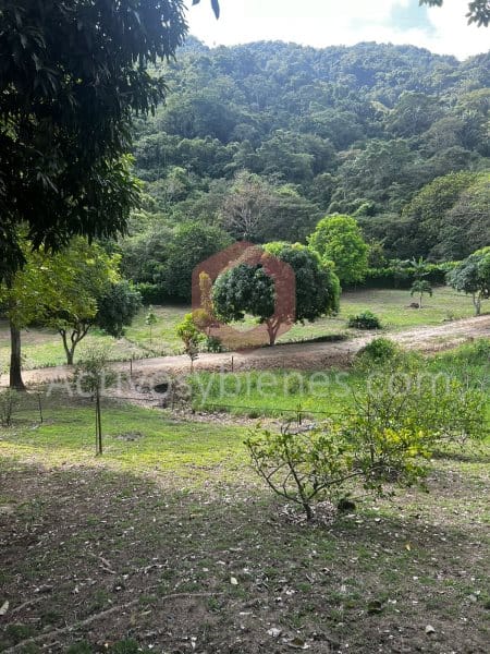 Edificio en venta en Centro, Santa Marta · foto 18 de 18