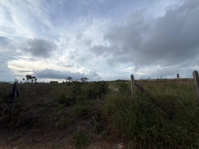 Lote en venta en Mesa De Los Santos, Piedecuesta, 5000 m² · foto 5 de 6