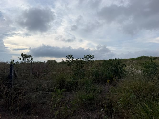 Lote en venta en Mesa De Los Santos, Piedecuesta, 5000 m² · foto 2 de 6