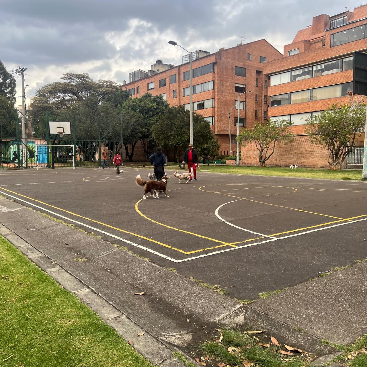 Apartamento en venta en Chicó Navarra, Bogotá · foto 15 de 20