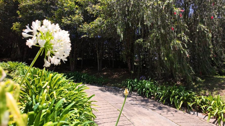 Casa de 3 alcobas en venta en Sajonia, Rionegro, 318 m² · foto 2 de 24