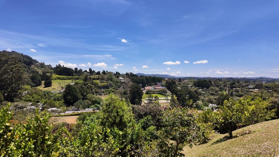 Casa de 3 alcobas en venta en Sajonia, Rionegro, 318 m² · foto 7 de 24