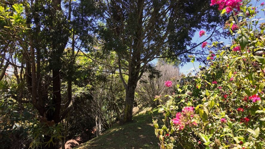 Casa de 3 alcobas en venta en Sajonia, Rionegro, 318 m² · foto 24 de 24