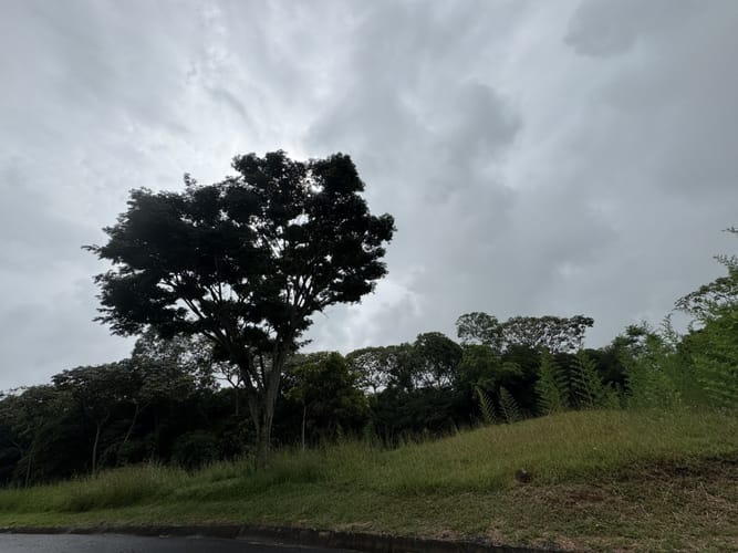 Lote en venta en Pance, Cali, 6000 m² · foto 4 de 9