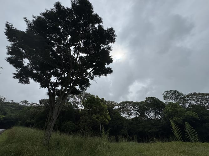 Lote en venta en Pance, Cali, 6000 m² · foto 5 de 9