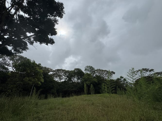 Lote en venta en Pance, Cali, 6000 m² · foto 6 de 9