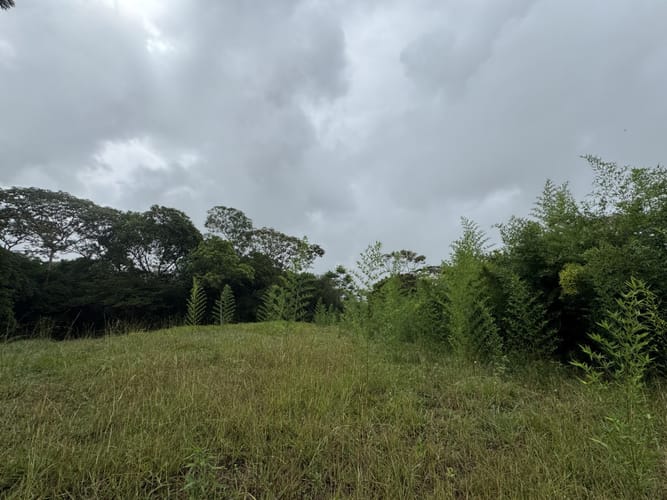 Lote en venta en Pance, Cali, 6000 m² · foto 7 de 9