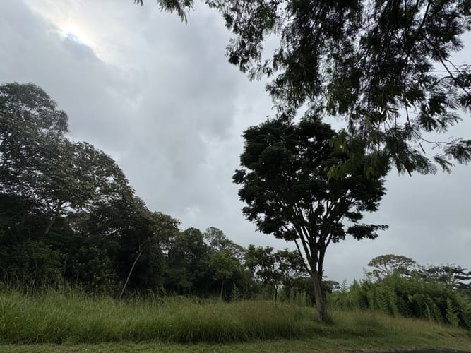 Lote en venta en Pance, Cali, 6000 m² · foto 8 de 9