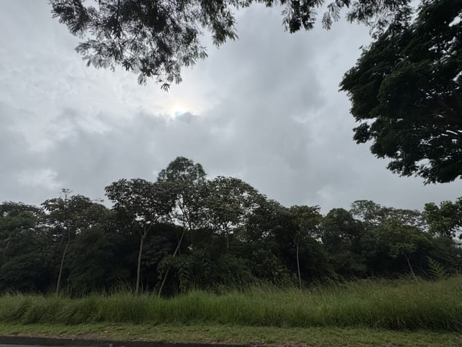 Lote en venta en Pance, Cali, 6000 m² · foto 9 de 9