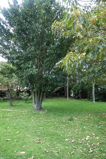 Casa de 1 alcoba en venta en Fonquetá, Chía · foto 18 de 24