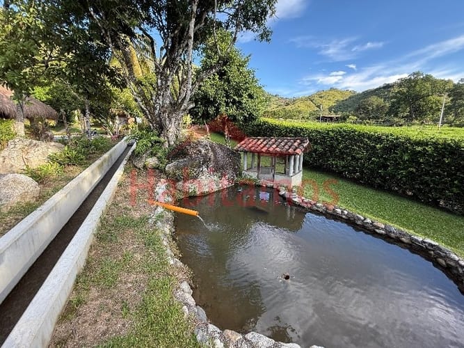 Finca en venta en Veliguarin, Piedecuesta, 4459 m² · foto 4 de 24
