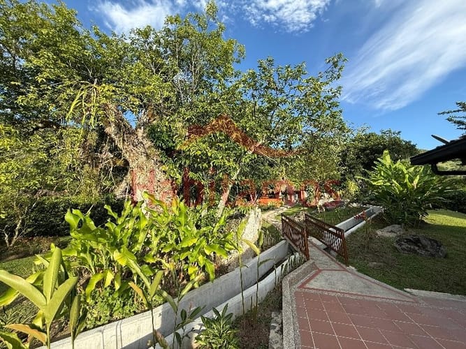 Finca en venta en Veliguarin, Piedecuesta, 4459 m² · foto 7 de 24