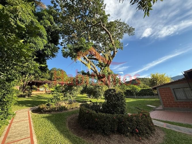 Finca en venta en Veliguarin, Piedecuesta, 4459 m² · foto 8 de 24