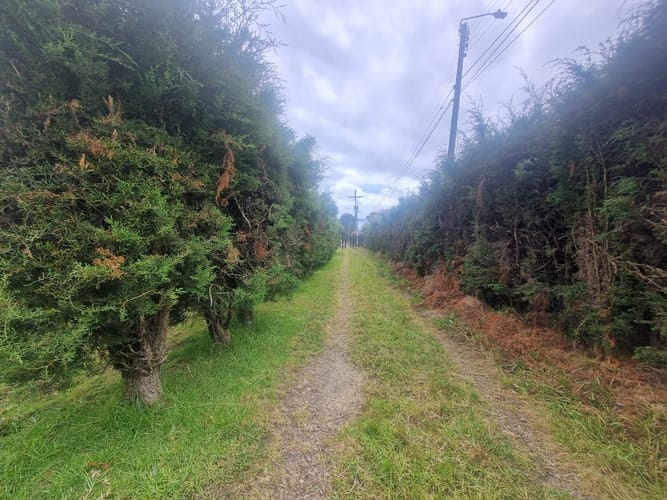 Lote en venta en Fonquetá, Chía, 1597 m² · foto 2 de 13