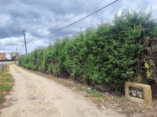 Lote en venta en Fonquetá, Chía, 1597 m² · foto 12 de 13