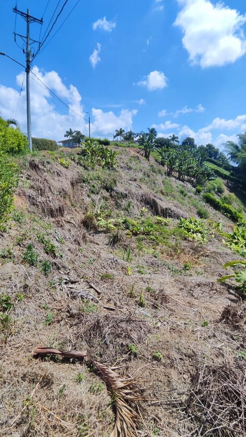 Lote en venta en San Joaquin, Pereira, 3000 m² · foto 5 de 9