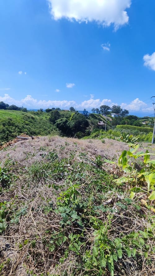 Lote en venta en San Joaquin, Pereira, 3000 m² · foto 6 de 9