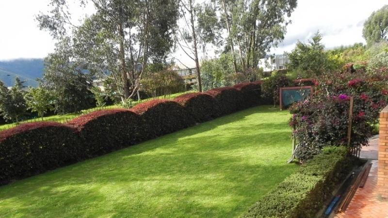 Casa de 4 alcobas en venta en Guaymaral, Bogotá, 476 m² · foto 7 de 24