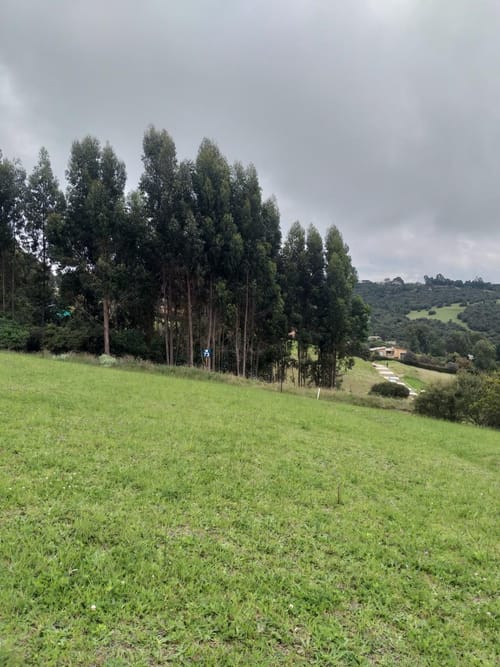 Lote en venta en Yerbabuena, Sopó, 2317 m² · foto 6 de 22