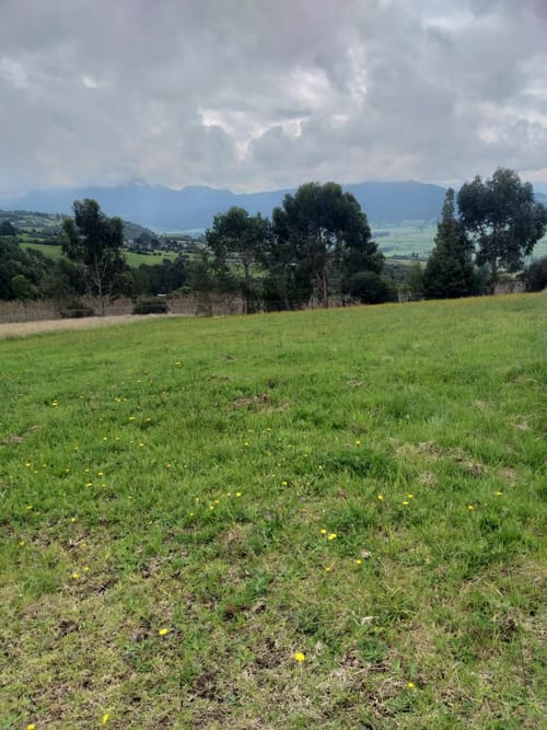Lote en venta en Yerbabuena, Sopó, 2317 m² · foto 7 de 22