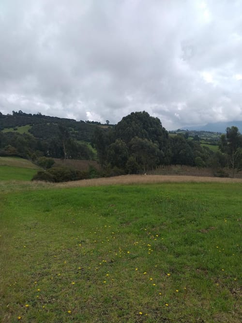 Lote en venta en Yerbabuena, Sopó, 2317 m² · foto 8 de 22