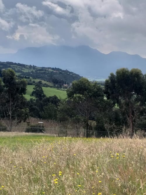 Lote en venta en Yerbabuena, Sopó, 2317 m² · foto 17 de 22