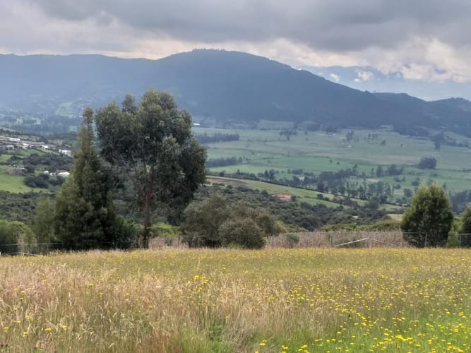 Lote en venta en Yerbabuena, Sopó, 2317 m² · foto 18 de 22