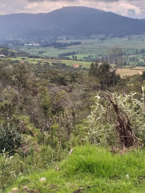 Lote en venta en Yerbabuena, Sopó, 2317 m² · foto 20 de 22