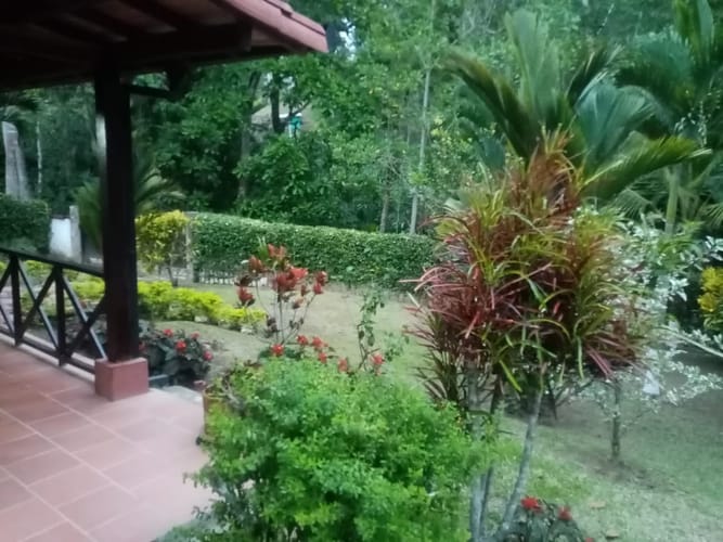 Finca en venta en Diviso Palmas, Rionegro, 1200 m² · foto 4 de 24
