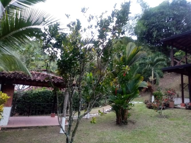 Finca en venta en Diviso Palmas, Rionegro, 1200 m² · foto 8 de 24