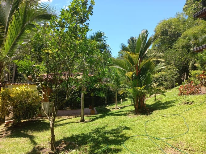 Finca en venta en Diviso Palmas, Rionegro, 1200 m² · foto 9 de 24