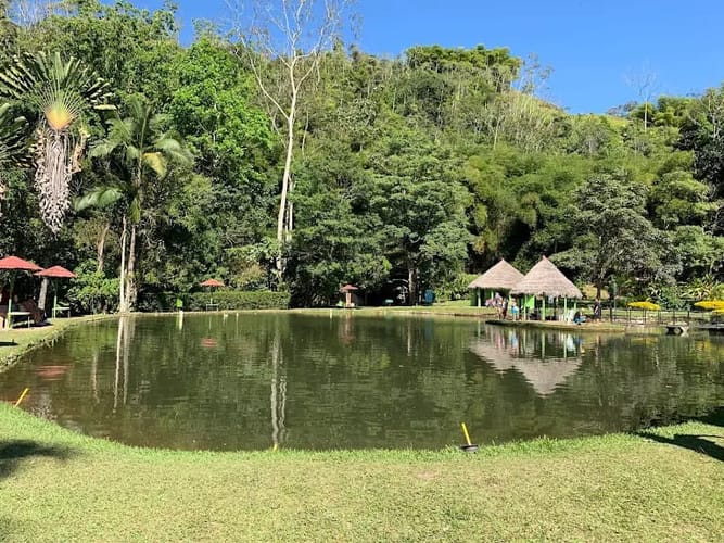 Finca en venta en Diviso Palmas, Rionegro, 1200 m² · foto 21 de 24