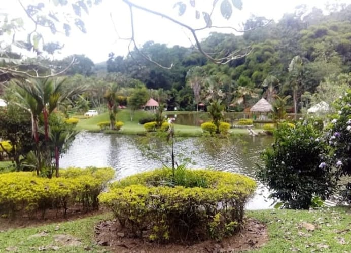 Finca en venta en Diviso Palmas, Rionegro, 1200 m² · foto 22 de 24
