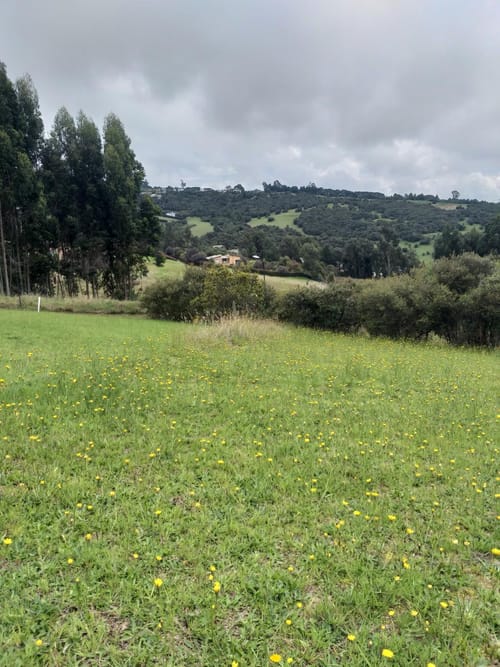 Lote en venta en Fusca, Chía, 2765 m² · foto 8 de 18