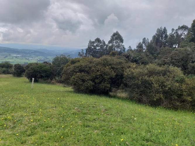 Lote en venta en Fusca, Chía, 2765 m² · foto 10 de 18