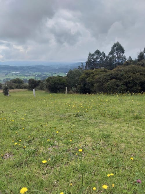 Lote en venta en Fusca, Chía, 2765 m² · foto 13 de 18