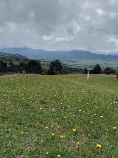 Lote en venta en Fusca, Chía, 2765 m² · foto 15 de 18