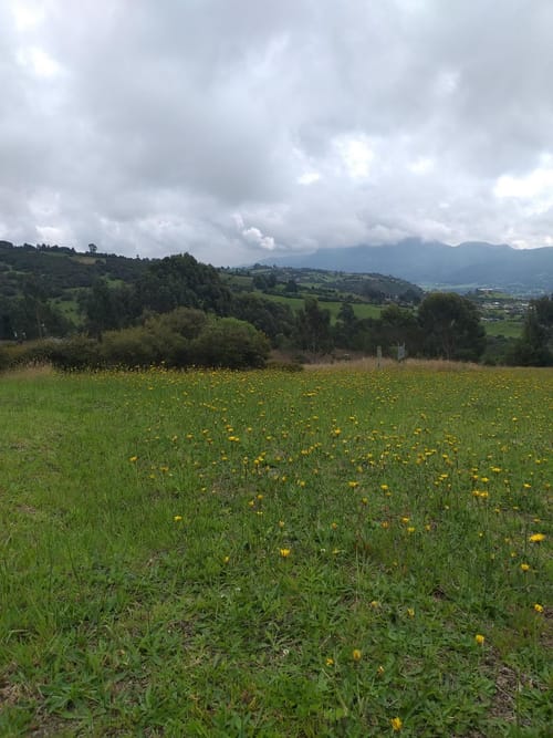 Lote en venta en Fusca, Chía, 2765 m² · foto 16 de 18