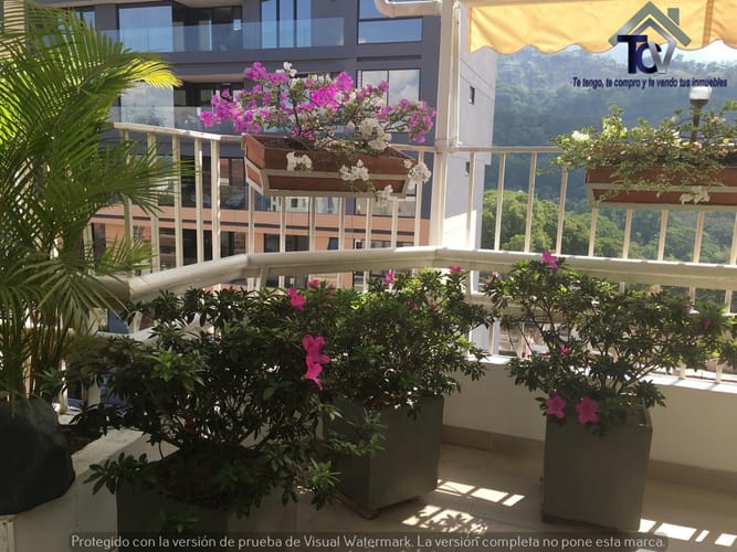 Apartamento de 4 alcobas en venta en Cabecera Del Llano, Bucaramanga, 275 m² · foto 14 de 24