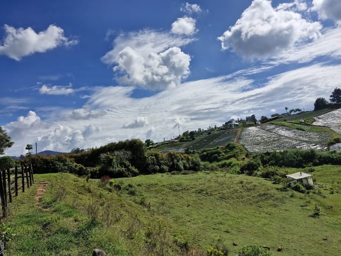 Lote en venta en Alto Del Mercado, Marinilla · foto 10 de 21