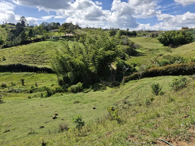 Lote en venta en Alto Del Mercado, Marinilla · foto 12 de 21