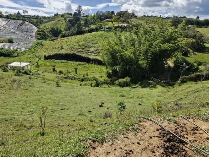Lote en venta en Alto Del Mercado, Marinilla · foto 13 de 21