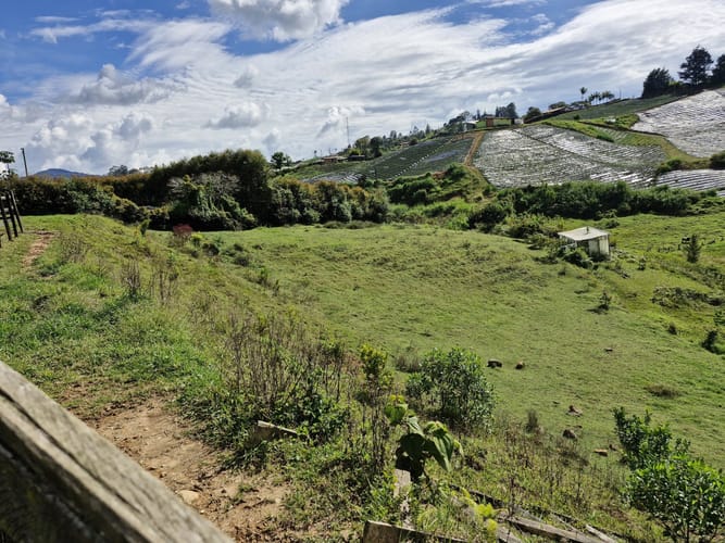 Lote en venta en Alto Del Mercado, Marinilla · foto 14 de 21