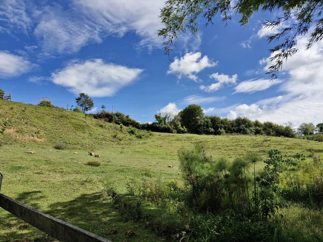 Lote en venta en Alto Del Mercado, Marinilla · foto 19 de 21